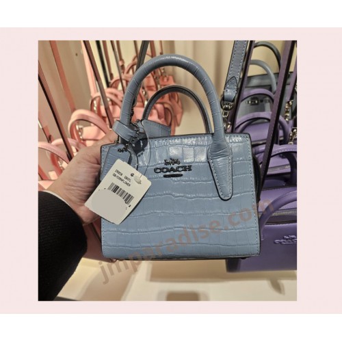 COACH Andrea Mini Carryall